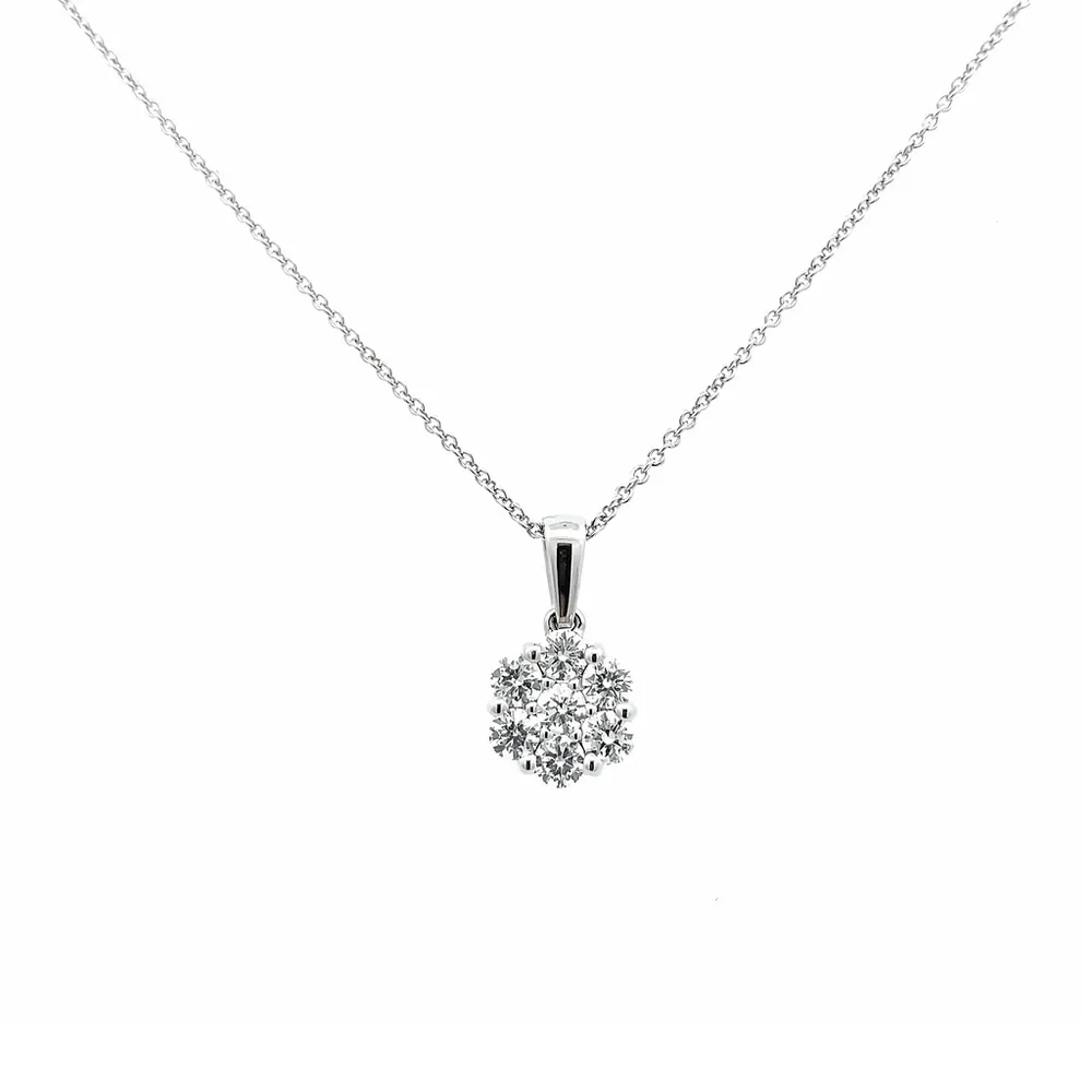 14 Karat White Gold Cluster 0.75 CTW Diamond Flower Necklace