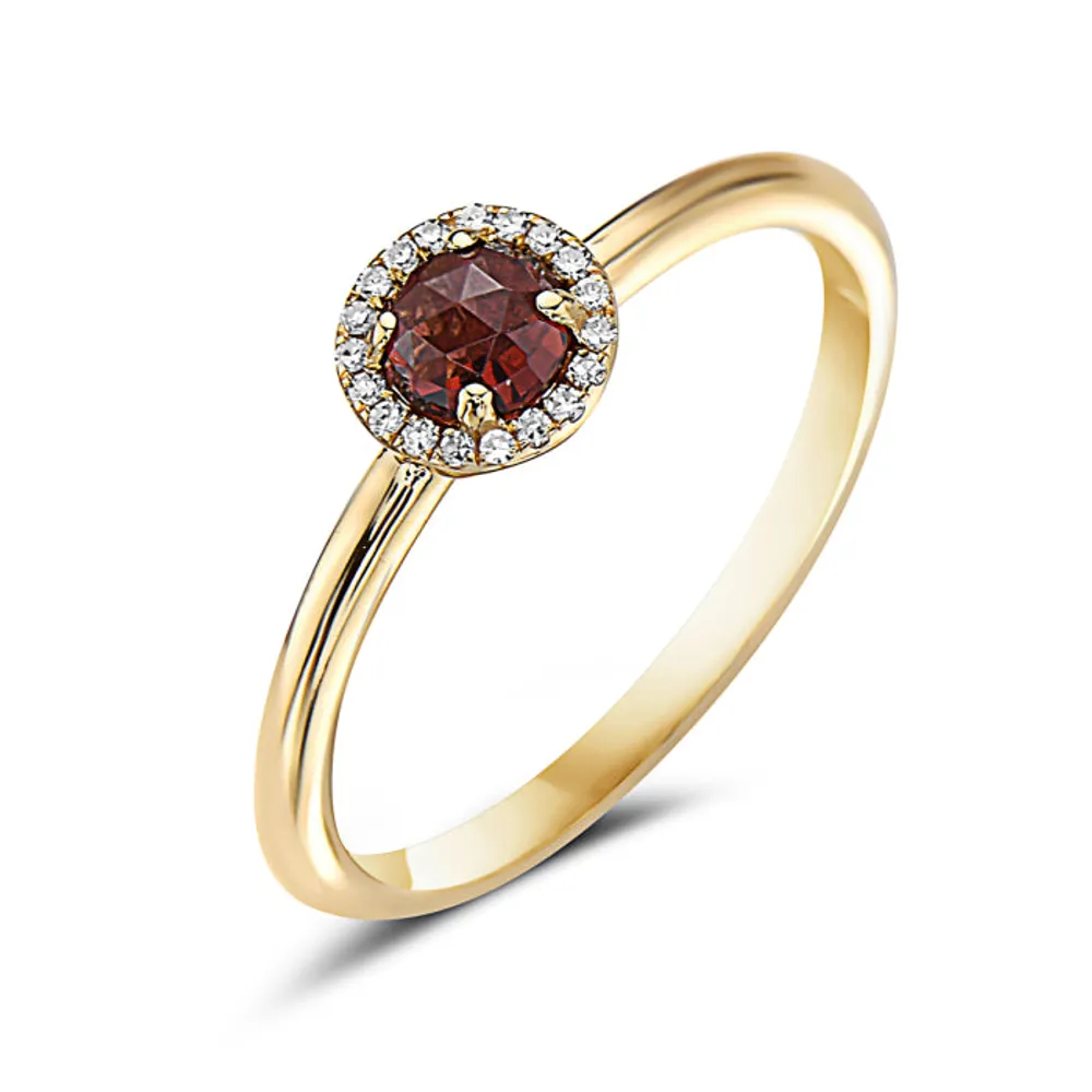 14 Karat Yellow Gold Garnet and Diamond Halo Ring