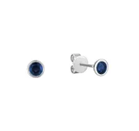 10 Karat White Gold Bezel Set Sapphire Stud Earrings