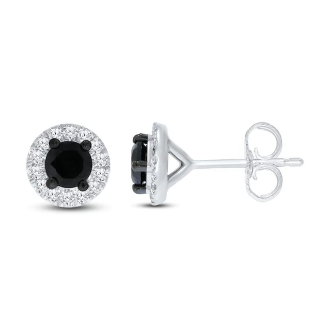 Kay Black & White Diamond Earrings 1/2 ct tw 10K White Gold