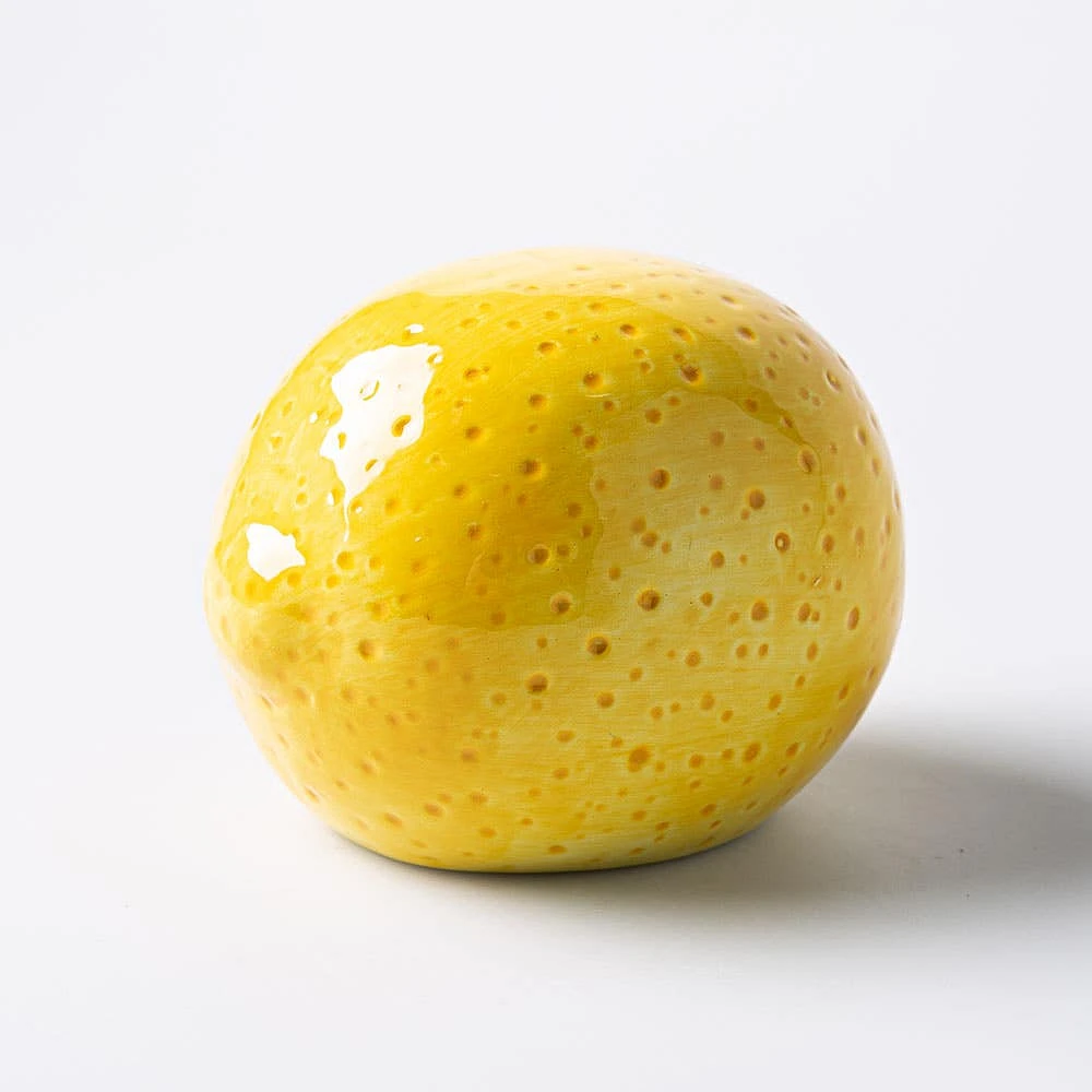 Boston Warehouse Scrubby 'Lemon' Ceramic Scrubby Holder