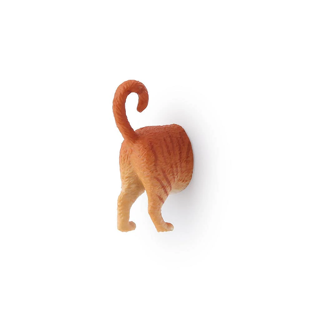 Kikkerland Funky 'Cat Butt' Magnet - Set of 6 (Multi Colour)