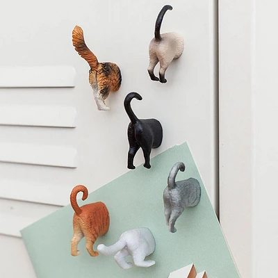 Kikkerland Funky 'Cat Butt' Magnet - Set of 6 (Multi Colour)