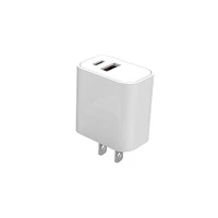 PDI Universal Wall Charger USB with 2 Slots (White)