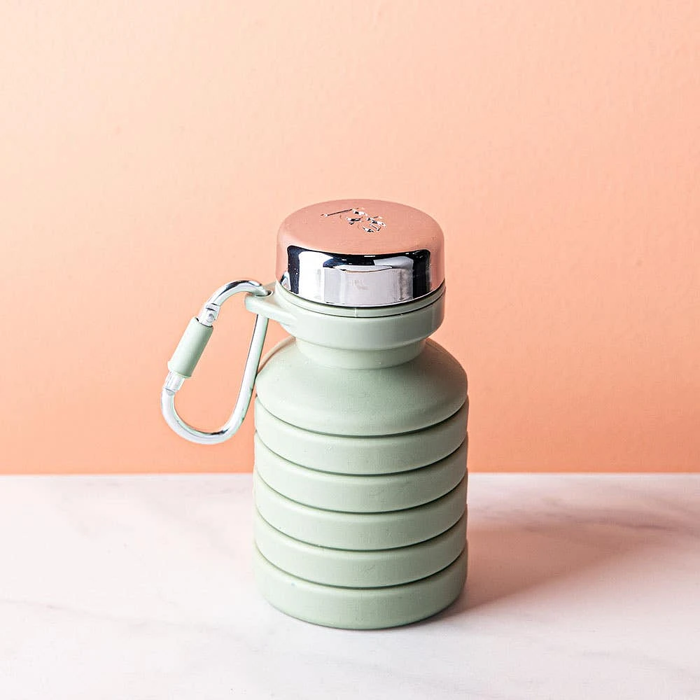 Joie On The Go Collapsible Water Bottle 475 ml (Sage)