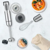 Cuisinart Smartstick 300 Watt Immersion Blender with Chopper