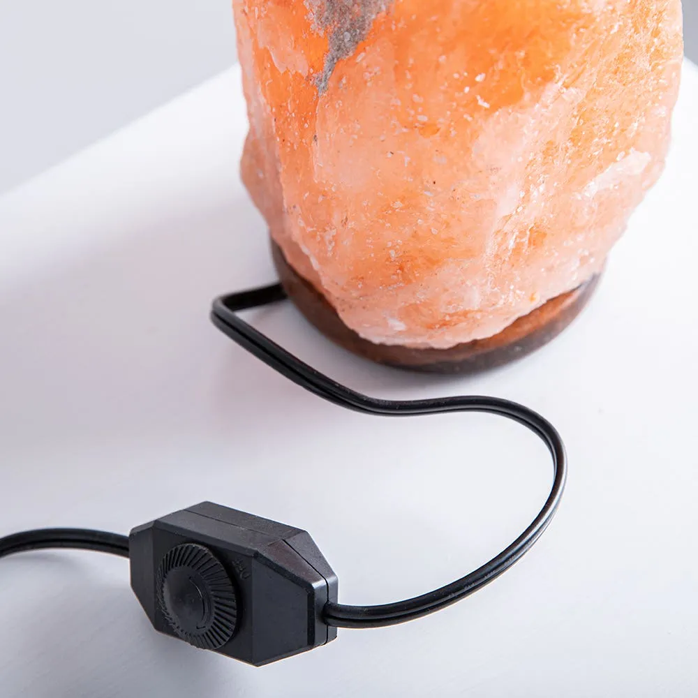 Brookstone Himalyan Crystal Salt Lamp with Dimmer