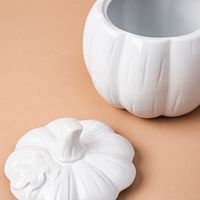 KSP Tuscana Harvest Pumpkin Canister Lg (White)