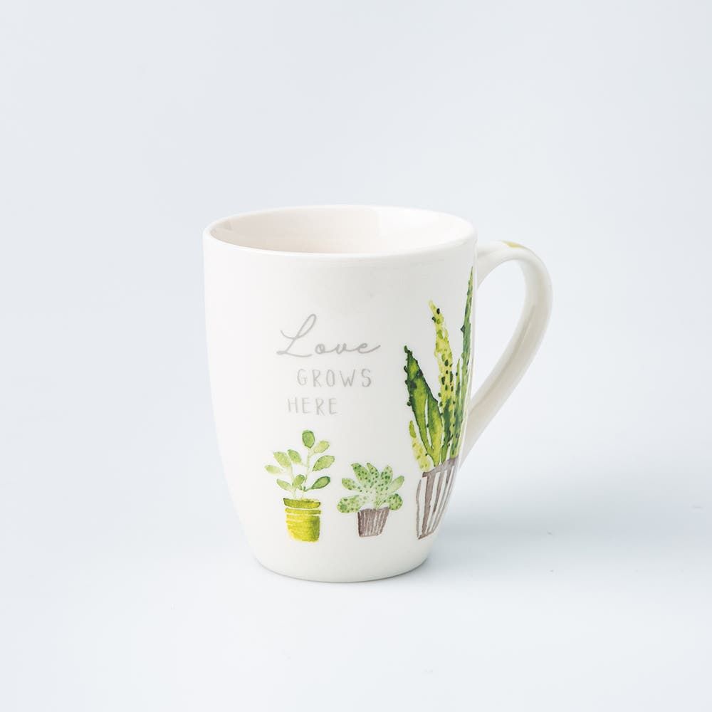 KSP Graphic 'Cactus' Mug - Set of 4