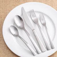 Gourmet Settings Classic 'Carry On' Flatware - S/20 (Matte s/s)