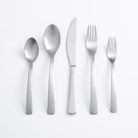 Gourmet Settings Classic 'Carry On' Flatware - S/20 (Matte s/s)