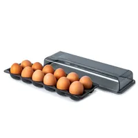 Madesmart Fridge & Pantry Egg Holder (Carbon Black) 13.5x5x3"