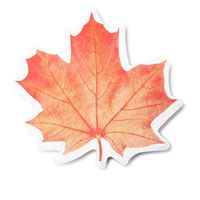 Harman 3-Ply 'Maple Leaf' Paper Napkin Shaped - Set of 20 (Orange)