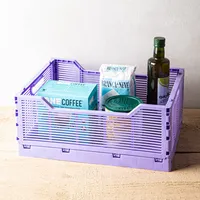 Truu Design Multi-Purpose 'Large' Folding Crate (Lilac)