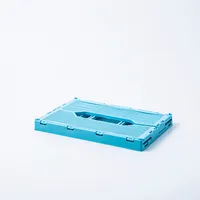 Truu Design Multi-Purpose 'Small' Folding Crate (Sky Blue)