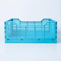 Truu Design Multi-Purpose 'Small' Folding Crate (Sky Blue)