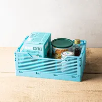 Truu Design Multi-Purpose 'Small' Folding Crate (Sky Blue)