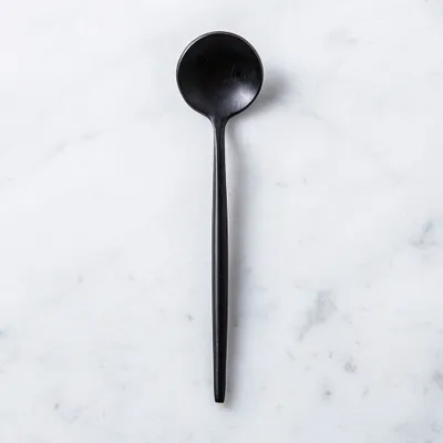 Natural Living Stainless Steel 'Small' Condiment Spoon (Black)
