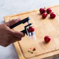 OXO Good Grips Cherry Pitter