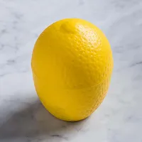 Hutzler Food Saver - Lemon or Lime