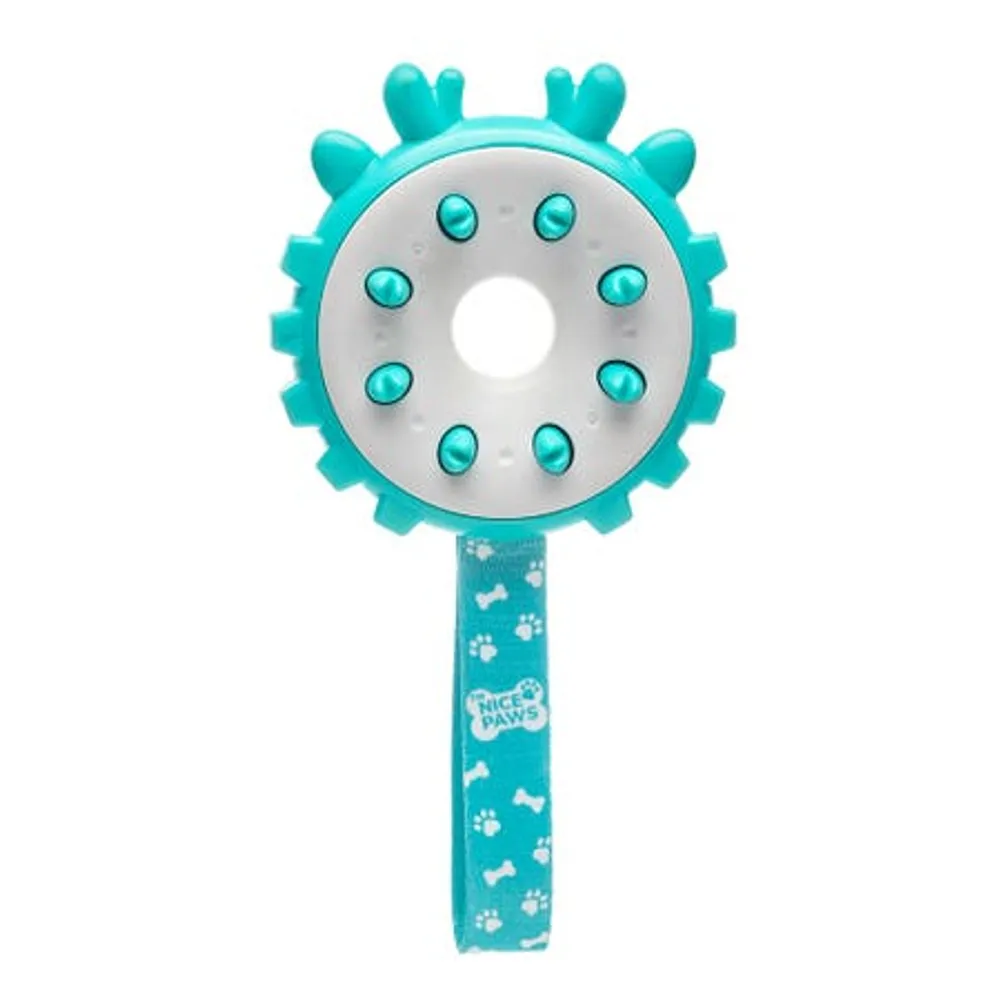 Nice Paws Pet Energy Ring Toy (Turquoise)