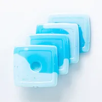 Luciano Slim Freezing Ice Pack - Set of 4 (Blue)