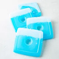 Luciano Slim Freezing Ice Pack - Set of 4 (Blue)