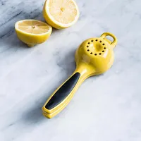 OXO Good Grips Citrus Juicer
