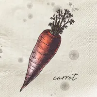 Harman 3-Ply 'Carrot' Paper Napkin - Set of 20 (Natural)