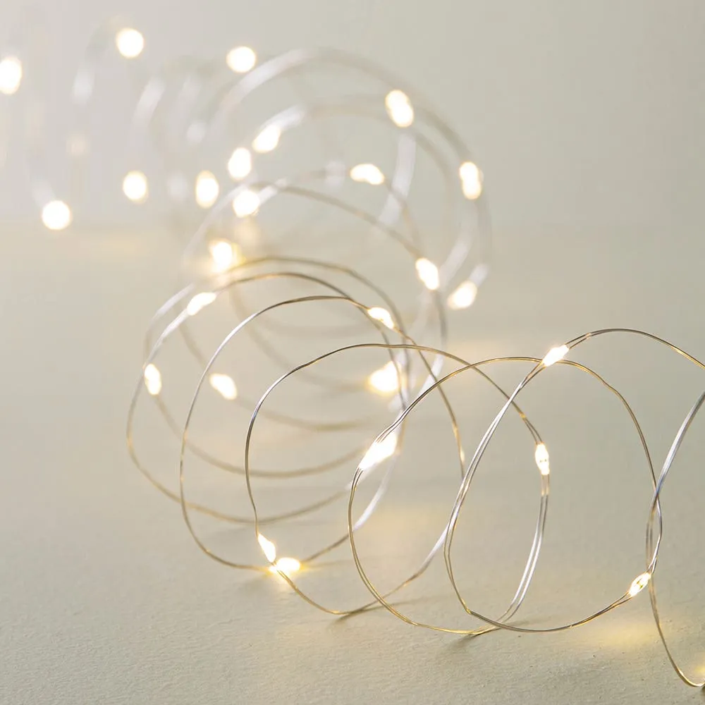 Fifth Season L.E.D. '40-Light' String Light (Warm White)