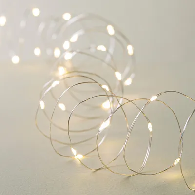 Fifth Season L.E.D. '40-Light' String Light (Warm White)