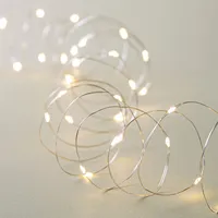 Fifth Season L.E.D. '40-Light' String Light (Warm White)