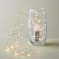 Fifth Season L.E.D. '40-Light' String Light (Warm White)