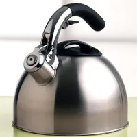 Primula Liberty Whistling Stovetop Kettle