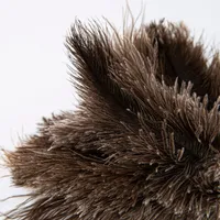 Casabella Eco-Friendly Ostrich Feather Duster (Grey)