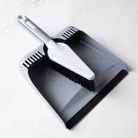 Casabella Eco-Friendly Angled Brush & Dustpan - Set of 2