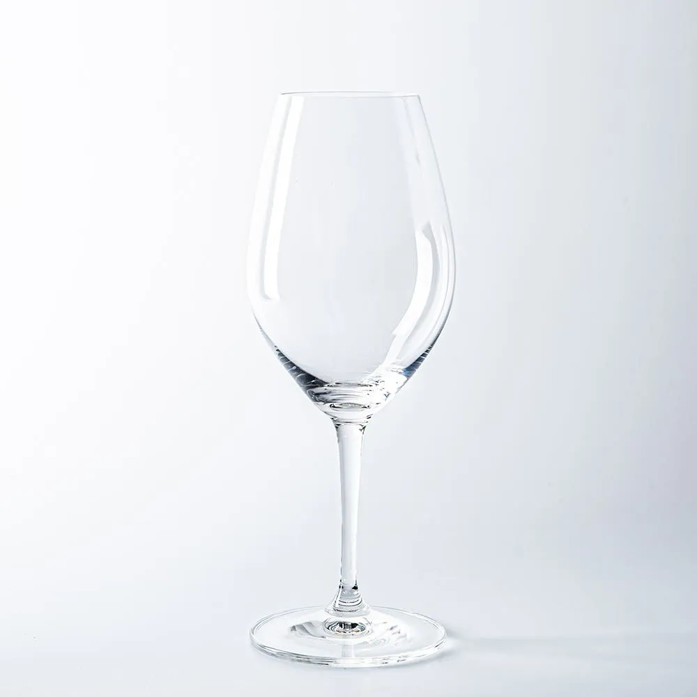 Riedel Wine-Friendly 003 White Wine-Champagne Glass - S/2 (15oz.)