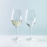 Riedel Wine-Friendly 003 White Wine-Champagne Glass - S/2 (15oz.)