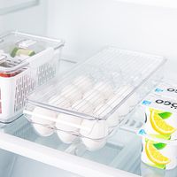 iDesign Linus '21-Egg Capacity' Fridge Binz Egg Holder 6x14.75x3"