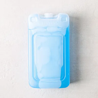 Ctg Icy 'Ice Pak' Reusable Ice Pack (Blue)