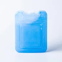 CTG Icy 'Ice Pak' Reusable Ice Pack 880g (Blue)