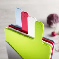 KSP Tab Cutting Boards with Holder - Set of 5 (Multi Colour)