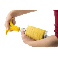 Joie Blossom Pineapple Corer and Slicer (Stainless Steel)