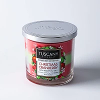 Empire Tuscany Christmas 'Christmas Cranberry' Glass Jar Candle