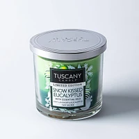 Empire Tuscany Christmas 'Snow Kissed Eucalyptus' Glass Jar Candle