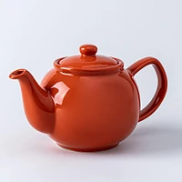 Price & Kensington Brights Stoneware Teapot (Burnt Orange)