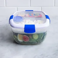 Locksy Click 'N' Go Salad Container