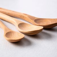 OXO Good Grips Wooden Spoon Set