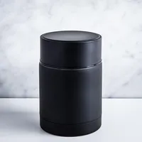 KSP Togo Thermal Food Storage Jar 430ml (Metallic