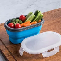 KSP Lunch Pop! 'Rectangle' Silicone Food Container (Asstd.)